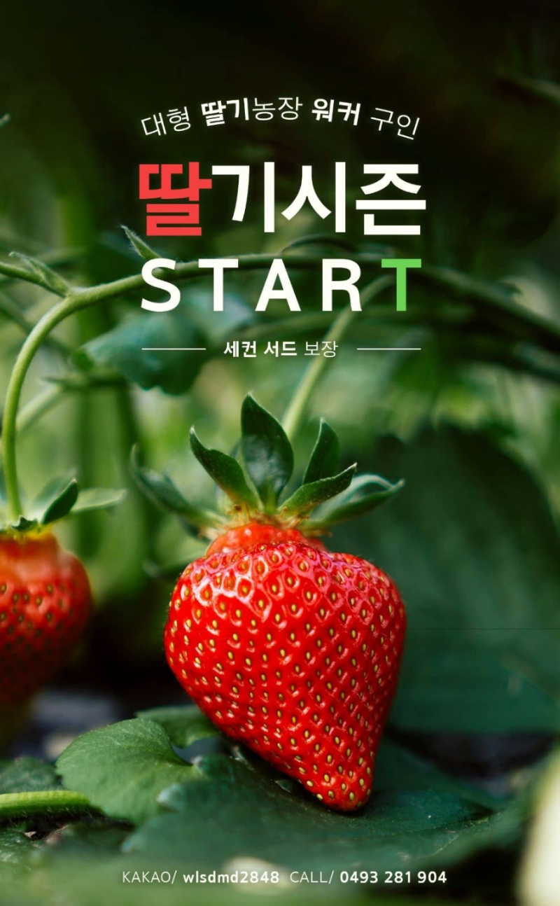 b350d67a7ab0a7a0cf0938491643f1a0_1749460535_0917.jpg b350d67a7ab0a7a0cf0938491643f1a0_1749460535_0917.jpg