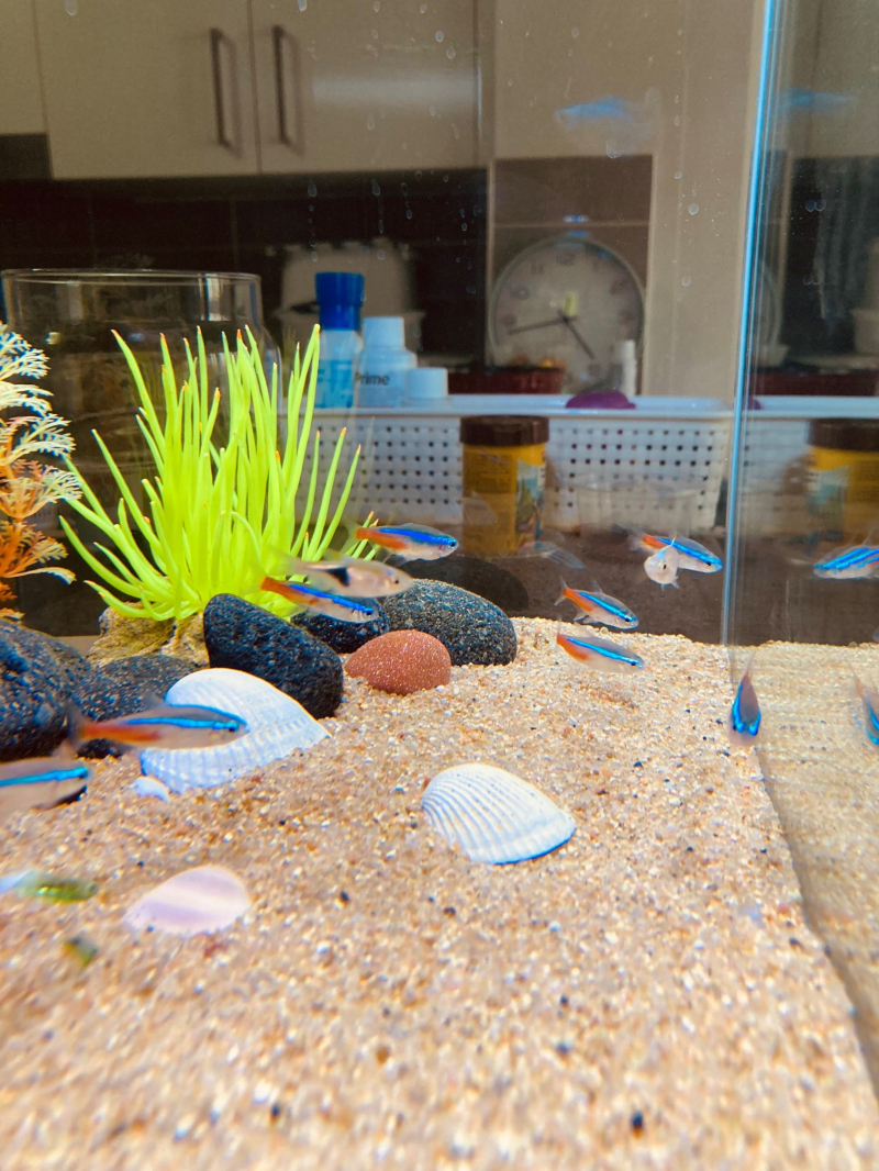 c0619d7de86aae774966f9266412f37c_1763977475_4103.jpg c0619d7de86aae774966f9266412f37c_1763977475_4103.jpg