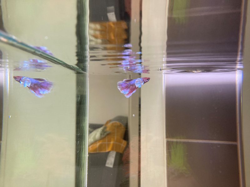 c0619d7de86aae774966f9266412f37c_1763977476_2624.jpg c0619d7de86aae774966f9266412f37c_1763977476_2624.jpg