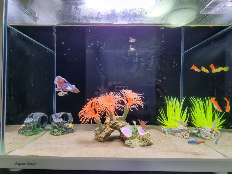 c0619d7de86aae774966f9266412f37c_1763977478_955.jpg c0619d7de86aae774966f9266412f37c_1763977478_955.jpg