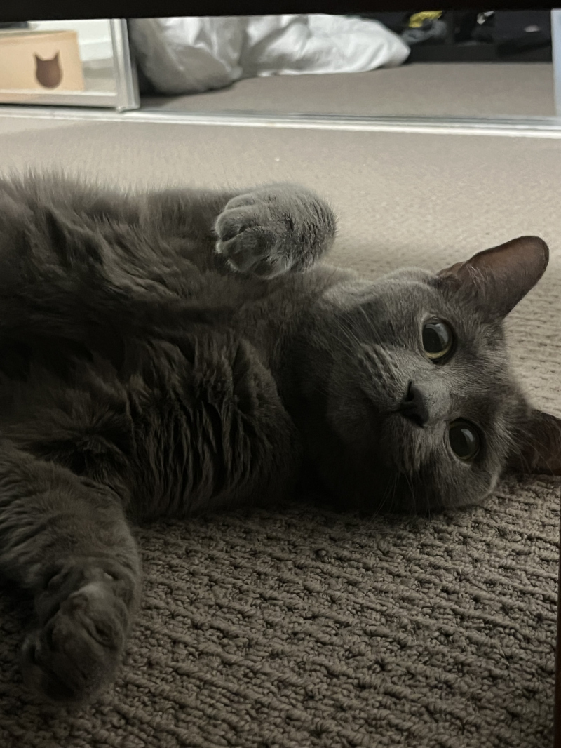 9f83f2f4e46382575958214f777db500_1773453446_8394.jpg 9f83f2f4e46382575958214f777db500_1773453446_8394.jpg