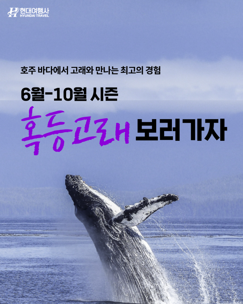 db54f2fd1fb22c249707b204a1b5dd61_1779152267_2542.png